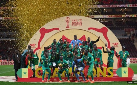 Dove: The day the football died