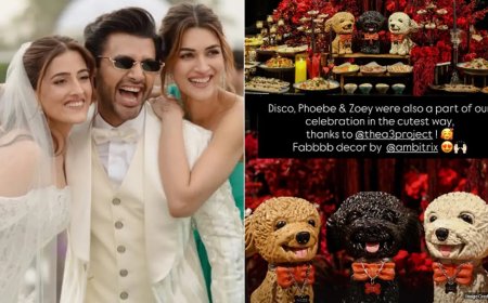 Kriti Sanon shares how her 3 dogs became part of Nupur Sanon`s wedding