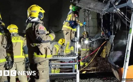Driver killed and several injured after train derails near Barcelona, local media report