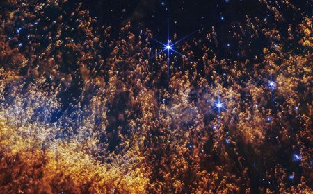 Webb reveals a planetary nebula with phenomenal clarity, and it is spectacular