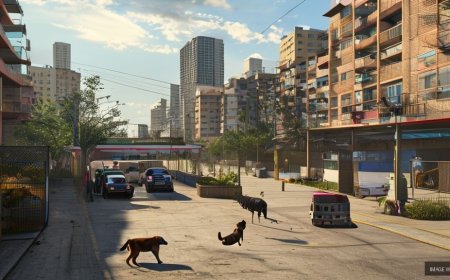 Delhi Municipal Corporation Allocates ₹10 Crore for Dog Shelters to Address Stray Dog Issue