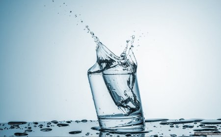 Bhopal News: Drinking Water Schemes To Be Maintained, Operated In MP On Gujarat Model