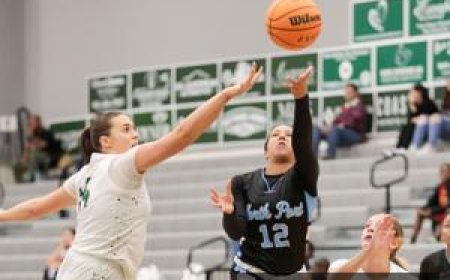 GIRLS BASKETBALL: North Port hammers Venice, earns 11th win