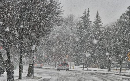 Winter storm could lift Conference Championship ratings