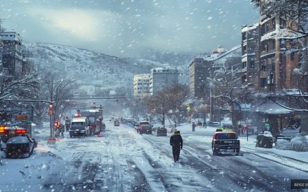 Kashmir Valley Hit by Heavy Snowfall, Disrupting Life