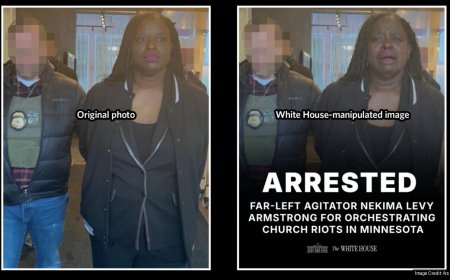 White House alters arrest photo of ICE protester, says "the memes will continue"