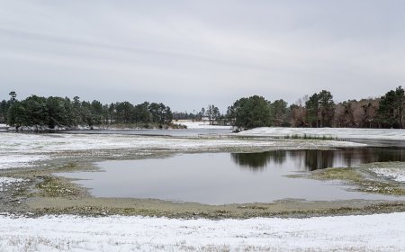 Dallas County Judge Jets To Costa Rica As Winter Storm Bears Down