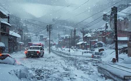 Heavy Snowfall Disrupts Life and Services Across Himachal Pradesh
