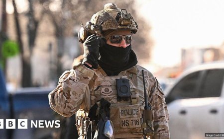 US to send ICE agents to Winter Olympics, prompting Italian anger