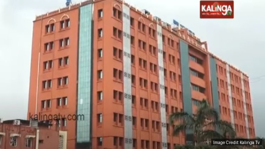 Orissa High Court allows rape survivor for termination of pregnancy