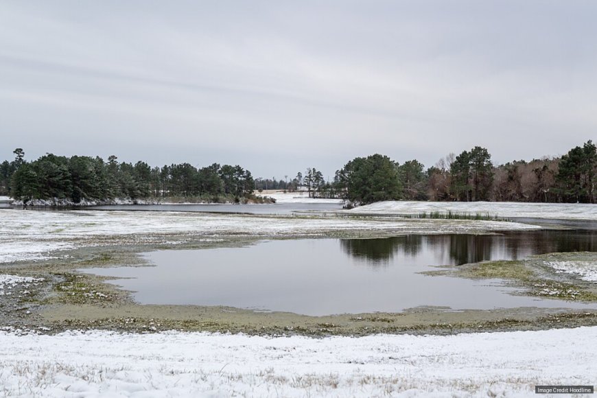 Dallas County Judge Jets To Costa Rica As Winter Storm Bears Down
