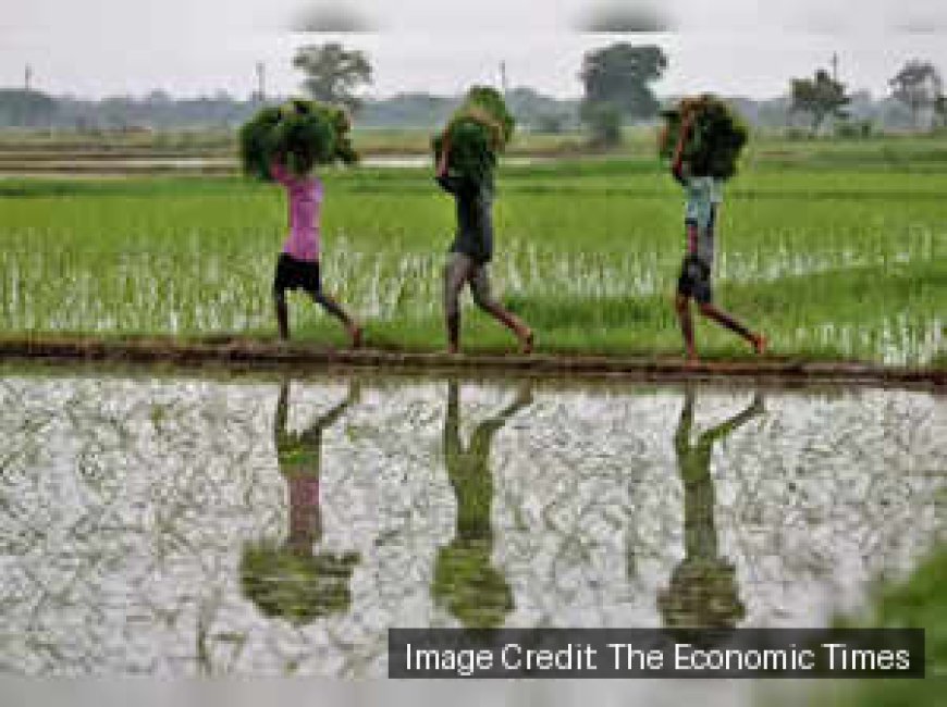Economic Survey: Pvt capital, climate tech key to fixing farm productivity