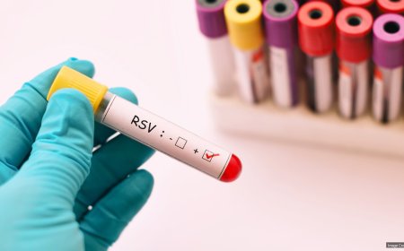RSV is spreading in N.J. See which counties have the highest levels.